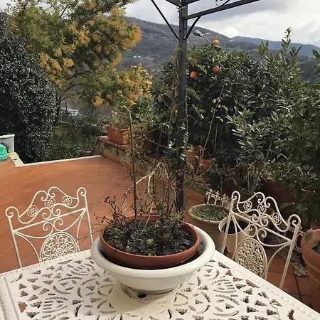 Il Giardino Segreto2